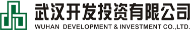 组织架构-武汉开发投资有限公司